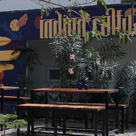 Indian Culture Vandrehjem Rishīkesh Eksteriør billede
